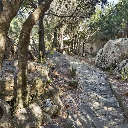 Pevero Vista Mare Con Piscina E Palestra Abbiadori